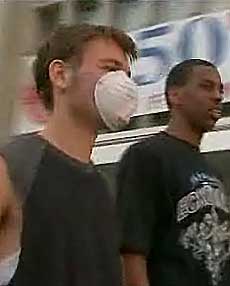 influenza_suina <p></p>