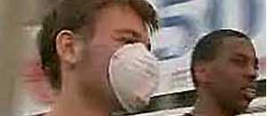 influenza_suina_c20001 <p></p>