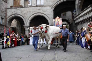 <p>Processione del Santissimo Salvatore</p>