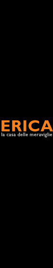 
<p> Erica Skyscraper</p>
<p>