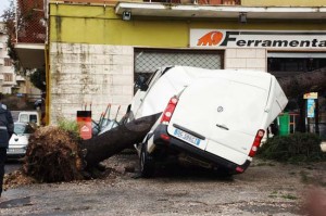 Tromba d'aria Civita Castellana <p>Albero crollato su camion</p>