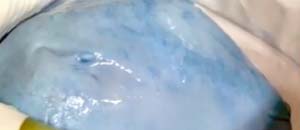 mozzarella_blu_c2000 <p></p>