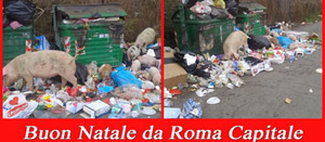 I maiali tra i rifiuti