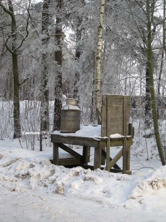 Skansen