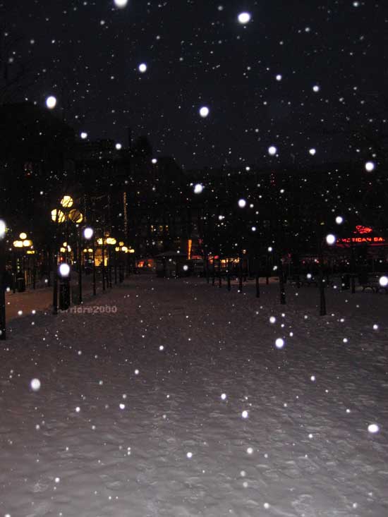 Neve fitta