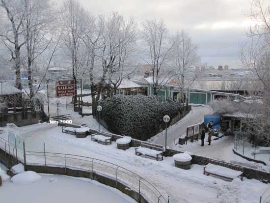 Lo zoo di Skansen