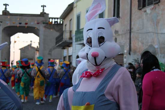Un coniglio