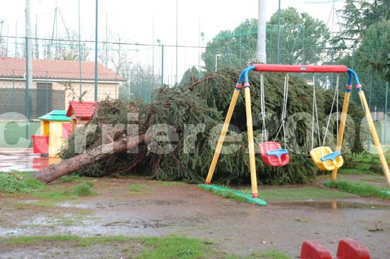 Un albero crollato nel parco giochi dei bambini nella chiesa di San Giuseppe