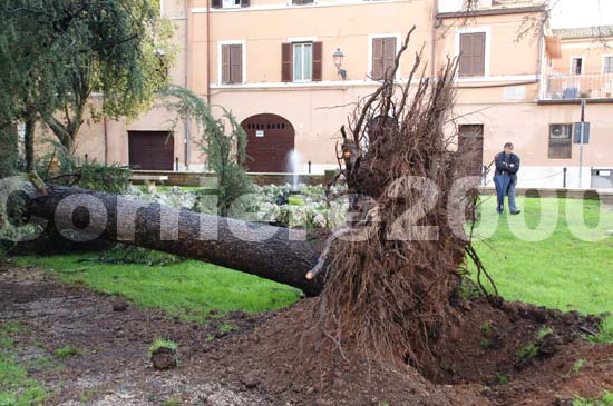 Via Roma a Civita