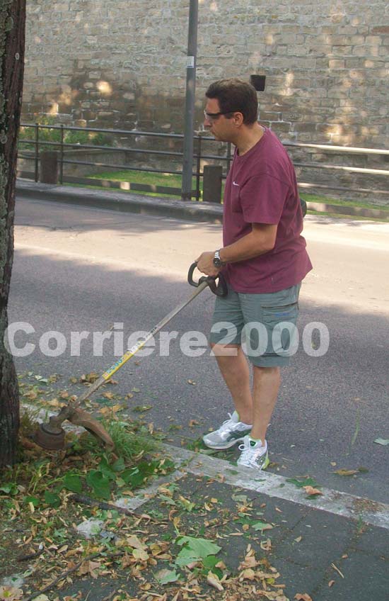 Marini giardiniere