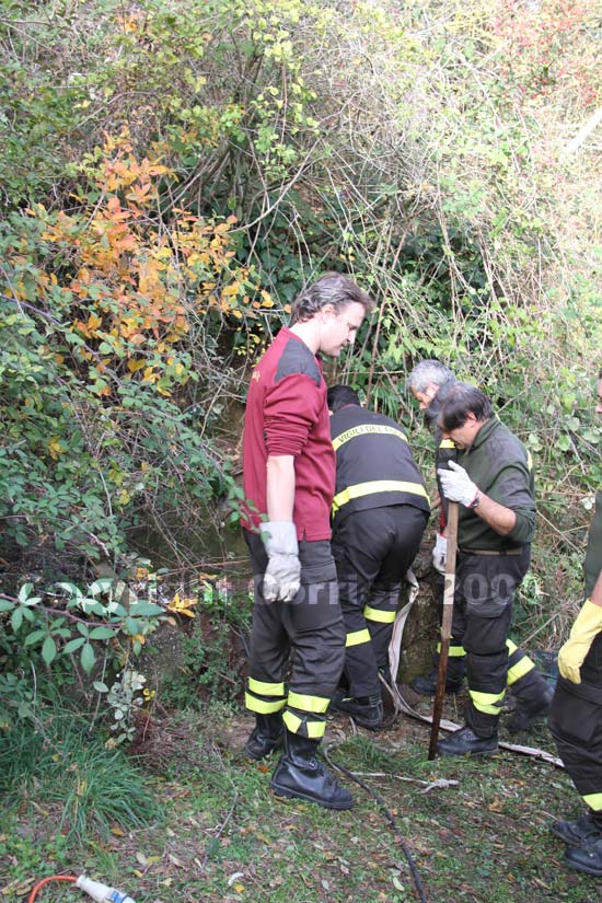 Vigili del fuoco al lavoro