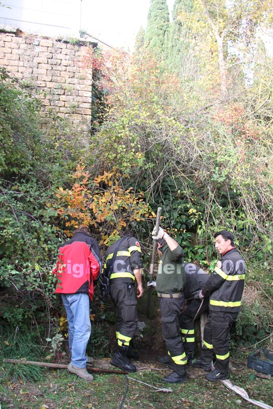 Vigili del fuoco al lavoro
