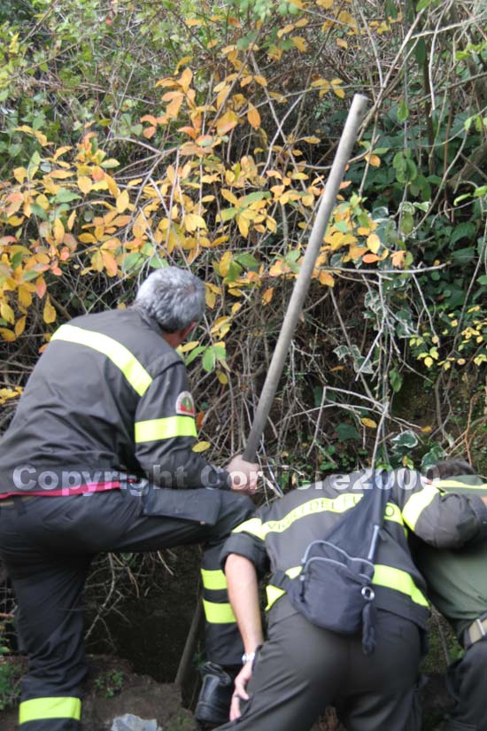 Vigili del fuoco al lavoro