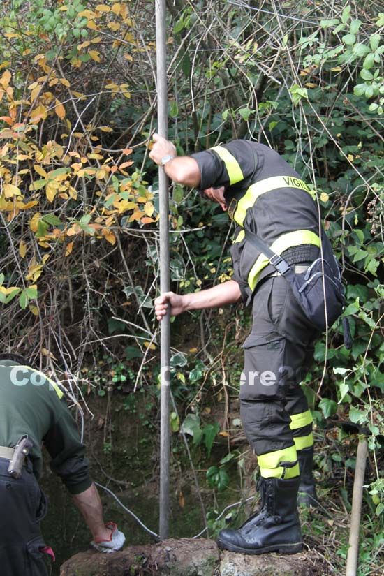Vigili del fuoco al lavoro