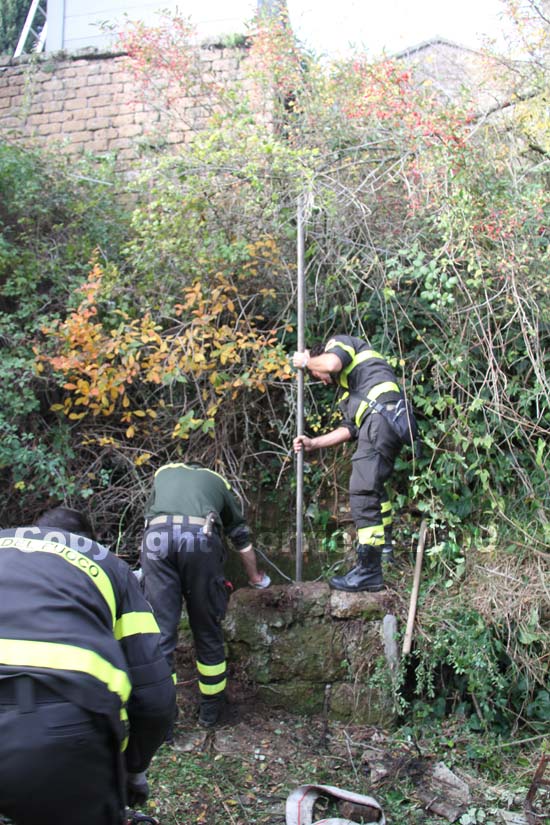 Vigili del fuoco al lavoro