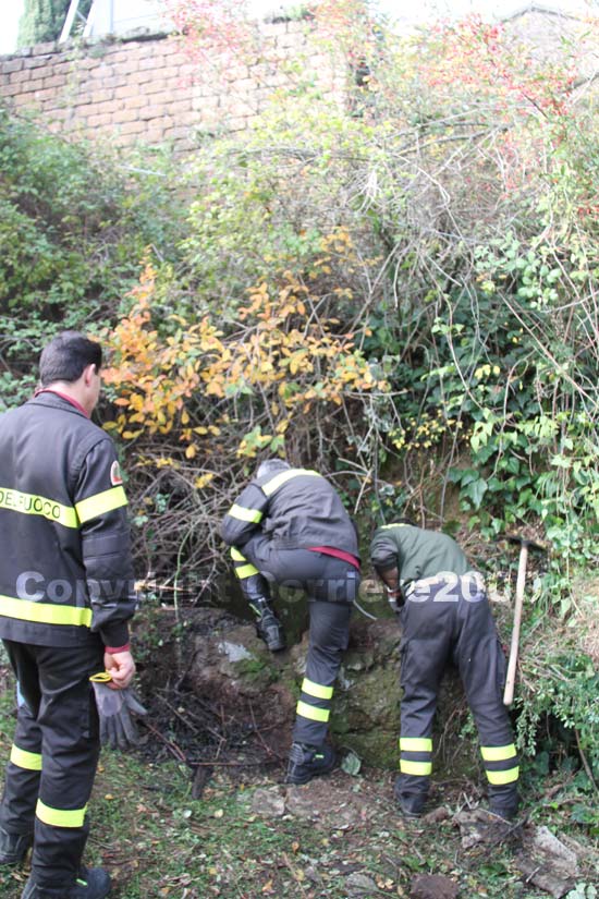 Vigili del fuoco al lavoro