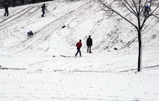 Valle Faul