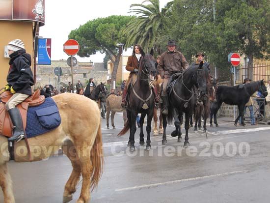 La benedizione degli animali a Tarquinia
