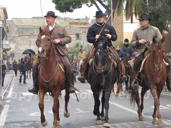 La benedizione degli animali a Tarquinia