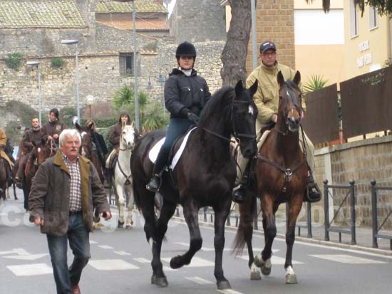 La benedizione degli animali a Tarquinia