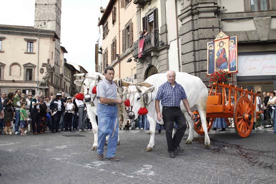 processione_ss_salvatore_21