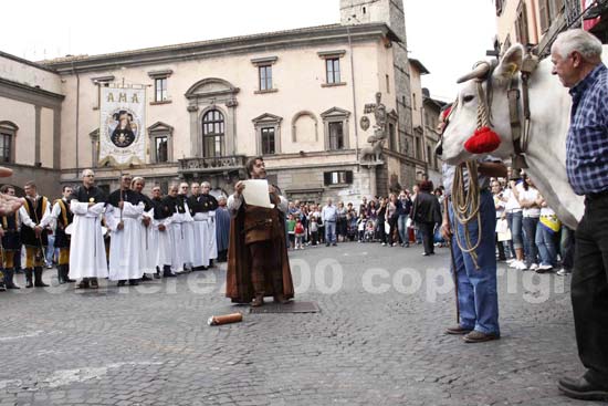 processione_ss_salvatore_4