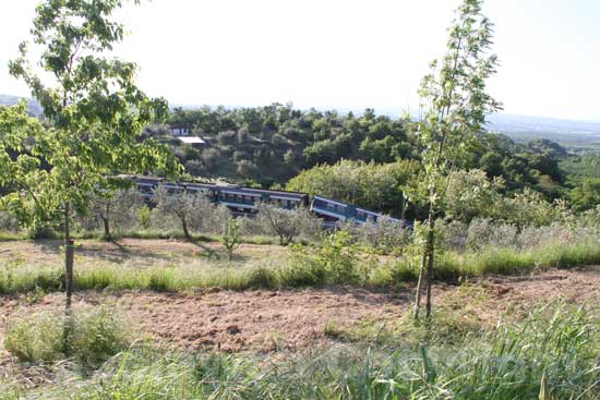 Il treno deragliato